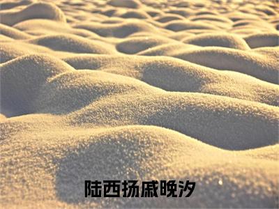 陆西扬戚晚汐（戚晚汐陆西扬）小说全文免费阅读无弹窗大结局_（戚晚汐陆西扬）陆西扬戚晚汐最新章节列表