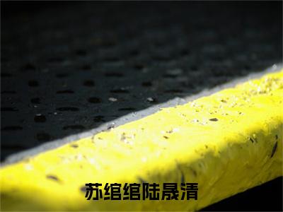 苏绾绾陆晟清:苏绾绾陆晟清全文免费阅读无弹窗大结局_苏绾绾陆晟清:苏绾绾陆晟清免费阅读