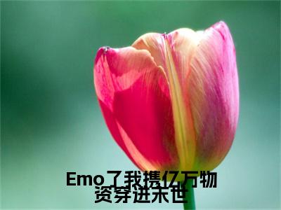 Emo了我携亿万物资穿进末世（雪月清）免费全文阅读小说_雪月清最新章节列表-笔趣阁（Emo了我携亿万物资穿进末世）