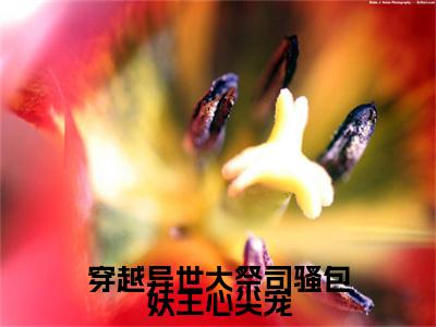 穿越异世大祭司骚包妖王心尖宠正版小说最新章节在线阅读-小说洛溱君墨寒穿越异世大祭司骚包妖王心尖宠已完结全集大结局