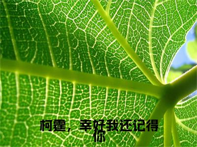 （傅柯霆许曦绵）柯霆，幸好我还记得你全文免费阅读无弹窗大结局_柯霆，幸好我还记得你全文免费完结版阅读（傅柯霆许曦绵）