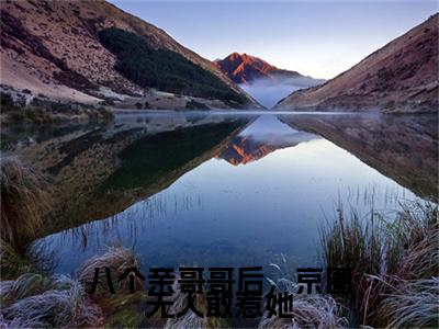 八个亲哥哥后，京圈无人敢惹她小说（叶以辰叶小汐）免费阅读全文无弹窗大结局_叶以辰叶小汐免费阅读无弹窗小说_小说笔趣阁