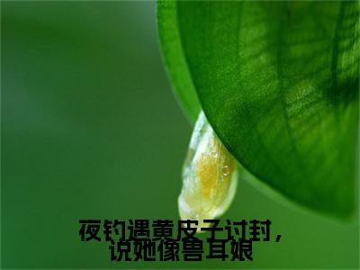 夜钓遇黄皮子讨封，说她像兽耳娘（黄皮子王昆小说）全文免费阅读无弹窗大结局_夜钓遇黄皮子讨封，说她像兽耳娘小说黄皮子王昆列表