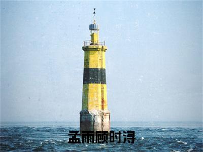 孟雨顾时浔全文免费阅读全文免费阅读无弹窗大结局_顾时浔孟雨全文免费阅读