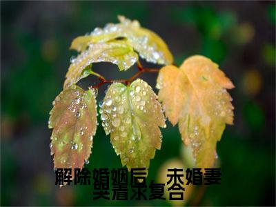 柳如烟赵凛（解除婚姻后，未婚妻哭着求复合）高质量小说推荐阅读-最新小说解除婚姻后，未婚妻哭着求复合全文阅读