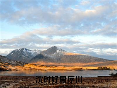 沈时好周序川无广告免费阅读-小说周序川沈时好最后结局如何