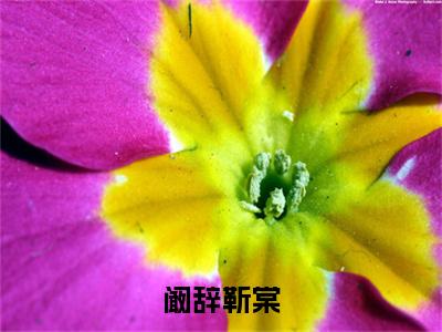 阚辞靳棠（靳棠阚辞）全文小说-阚辞靳棠小说最新章节免费阅读