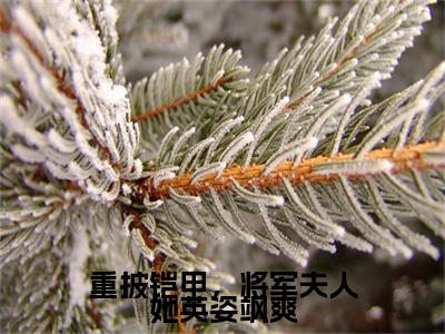 战北望宋惜惜小说（重披铠甲，将军夫人她英姿飒爽）全文免费阅读_（重披铠甲，将军夫人她英姿飒爽）战北望宋惜惜小说最新章节列表