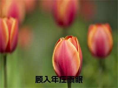 顾入年庄雨眠（庄雨眠顾入年）全文免费阅读无弹窗大结局_顾入年庄雨眠完整版在线阅读章节列表_笔趣阁