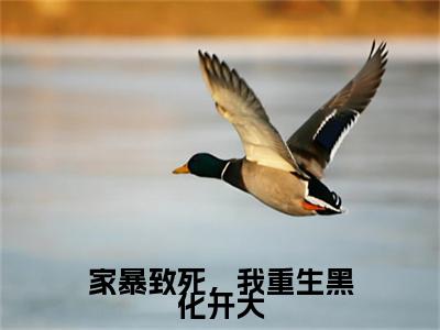 沈宁（家暴致死，我重生黑化开大）全文免费阅读无弹窗大结局_沈宁免费最新章节列表_笔趣阁