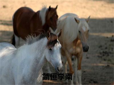 李南简恒免费完结小说-简恒李南（李南简恒）在线阅读全文（李南简恒）