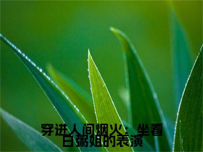 穿进人间烟火：坐看白粥姐的表演最新章节（孟宴臣孟沁）全文免费阅读无弹窗大结局_孟宴臣孟沁免费阅读