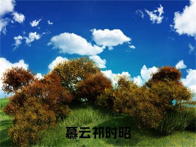 时昭慕云祁（慕云祁时昭）全文免费阅读无弹窗_慕云祁时昭最新小说