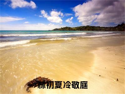 林初夏冷敬庭（冷敬庭林初夏）全文免费阅读-林初夏冷敬庭（冷敬庭林初夏）最新章节小说阅读