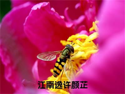 许颜芷江南逸小说江南逸许颜芷在哪里可以看-主角是许颜芷江南逸的小说江南逸许颜芷