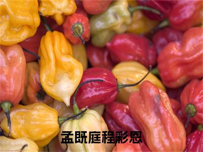 孟既庭程彩恩小说全文免费阅读-（孟既庭程彩恩）抖音新书热荐孟既庭程彩恩全文免费阅读（孟既庭程彩恩番外+免费）