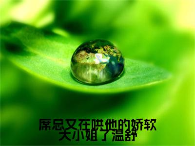 席总又在哄他的娇软大小姐了温舒（席凛温舒）全文免费大结局，席总又在哄他的娇软大小姐了温舒结局在线阅读