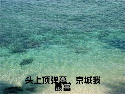 （顾年年虞固）小说全文免费阅读_顾年年虞固（头上顶弹幕，京城我最富）最新章节热文在线阅读