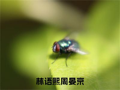 【热门】《林语熙周晏京》书名是周晏京林语熙全文免费阅读已完结