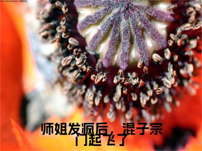 谢倾小说_小说师姐发疯后，混子宗门起飞了免费阅读最新章节列表（谢倾）笔趣阁