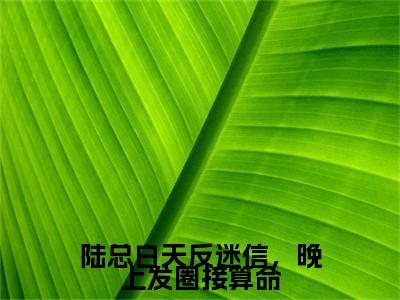 陆总白天反迷信，晚上发圈接算命在线阅读全文免费阅读无弹窗大结局_林翩翩陆令最新章节列表_笔趣阁