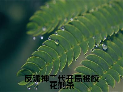 反派神二代开局被校花刺杀小说（林清雪顾天）全文免费阅读无弹窗_反派神二代开局被校花刺杀小说全文免费阅读）林清雪顾天最新章节列表笔趣阁