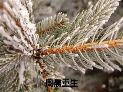 周晨重生最新热门小说-（周晨刘思颖）最新章节免费阅读