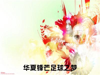 华夏锋芒足球之梦（萧羽）全文免费阅读无弹窗大结局_萧羽全文在线阅读