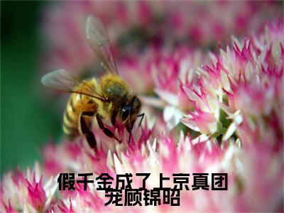 顾锦昭免费小说（假千金成了上京真团宠顾锦昭）全文免费阅读_顾锦昭免费小说顾锦昭小说最新章节列表笔趣阁