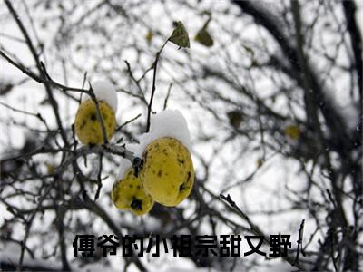 傅爷的小祖宗甜又野（姜娆傅宴洲）全文免费阅读无弹窗大结局_傅爷的小祖宗甜又野全文完整无删减版免费阅读