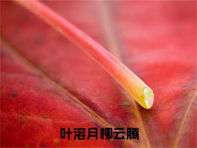 柳云腾叶溶月（叶溶月柳云腾）全文免费阅读无弹窗大结局_（柳云腾叶溶月全文阅读）叶溶月柳云腾无弹窗最新章节列表