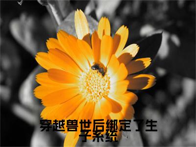 穿越兽世后绑定了生子系统全文免费无弹窗大结局_苏茶免费穿越兽世后绑定了生子系统最新章节列表_笔趣阁