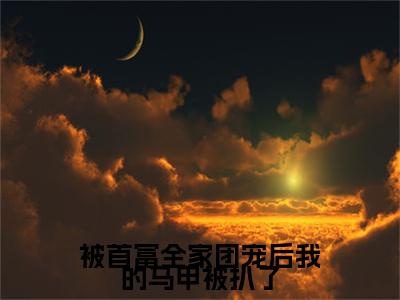 《被首富全家团宠后我的马甲被扒了》盛夏战御瑾（大结局小说全集完整版）盛夏战御瑾小说_被首富全家团宠后我的马甲被扒了全文阅读笔趣阁