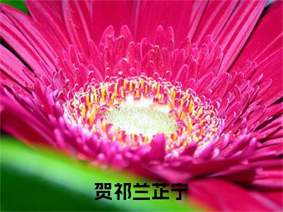 贺祁兰芷宁（兰芷宁贺祁）全文免费阅读_贺祁兰芷宁最新章节小说免费阅读_笔趣阁