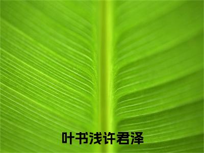 叶书浅许君泽（叶书浅许君泽小说）全文免费阅读无弹窗大结局_（叶书浅许君泽小说）叶书浅许君泽最新章节列表