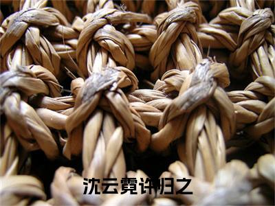 沈云霓许归之（沈云霓许归之）全文免费阅读最新章节_沈云霓许归之大结局精彩阅读_笔趣阁（沈云霓许归之）