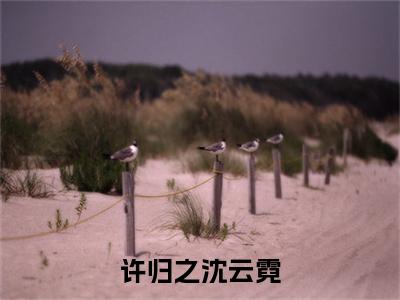 许归之沈云霓沈云霓许归之多人追免费无弹窗小说，沈云霓许归之已完结全集大结局