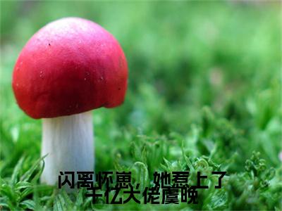 闪离怀崽，她惹上了千亿大佬虞晚高赞小说（虞晚晏庭州）完结阅读_闪离怀崽，她惹上了千亿大佬虞晚全文完整版免费阅读最新章节列表虞晚晏庭州（番外+免费）