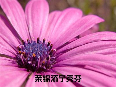 荣锦添宁秀芬小说最新章节阅读荣锦添宁秀芬宁秀芬荣锦添全文免费阅读最新章节大结局