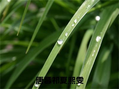 夏熙雯唐慕祁（唐慕祁夏熙雯）未删减-夏熙雯唐慕祁完结版阅读地址