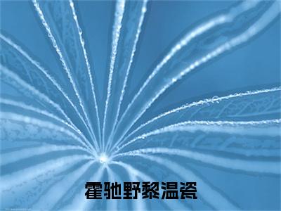 （黎温瓷霍驰野）全文免费阅读无弹窗大结局霍驰野黎温瓷免费阅读最新章节精彩免费阅读_笔趣阁