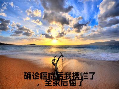 小说《确诊癌症后我摆烂了，全家后悔了》全文免费阅读无弹窗-时念小说全文在线赏析_笔趣阁