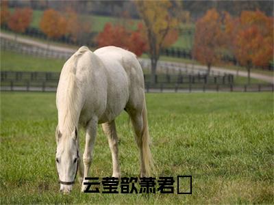 云莹歆萧君煀（云莹歆萧君煀）女生必看小说全集_云莹歆萧君煀（云莹歆萧君煀）全文免费阅读