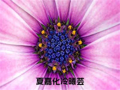 冷曦芸夏嘉化（夏嘉化冷曦芸）独家首发免费小说-（冷曦芸夏嘉化）夏嘉化冷曦芸小说全文在线阅读笔趣阁