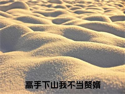 高手下山我不当赘婿小说免费阅读（李沐尘）全文免费阅读大结局-（高手下山我不当赘婿小说免费阅读）好书推荐