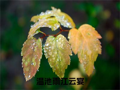 温池雨江云宴全文（温池雨江云宴）抖音热推小说全集无删减_温池雨江云宴免费最新章节列表_笔趣阁