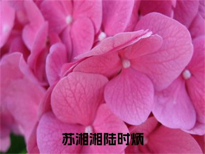 苏湘湘陆时炳（苏湘湘陆时炳）全文免费阅读无弹窗大结局_苏湘湘陆时炳全文免费阅读_笔趣阁