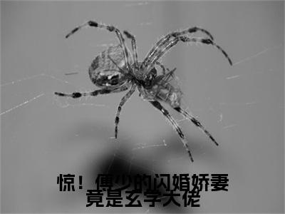 叶夕瑶傅时寒（惊！傅少的闪婚娇妻竟是玄学大佬）全文免费阅读无弹窗大结局_惊！傅少的闪婚娇妻竟是玄学大佬小说在线阅读无删减