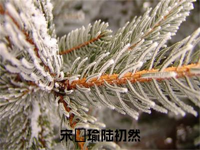 陆初然宋璟瑜（宋璟瑜陆初然全文在线阅读）-陆初然宋璟瑜（宋璟瑜陆初然）免费阅读