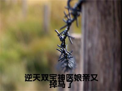 龙司绝月轻尘（逆天双宝神医娘亲又掉马了）小说全文无删减版完整版_龙司绝月轻尘最新章节列表_笔趣阁